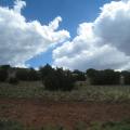 The Hauntingly Beautiful New Mexico Landscape