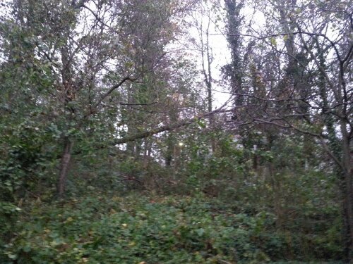 20121030_073159.jpg image