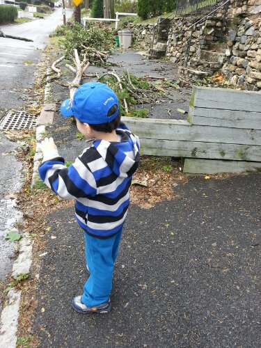 20121030_100739.jpg image