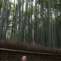 Bamboo Forest