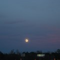 Moon settling in For the NIght in the Deep South