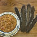 squirrel stew