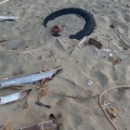 garbage on beach
