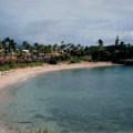 mauii_voted one of top 20 beaches