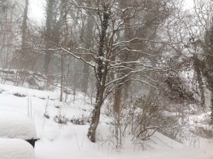 Benches covered in snow