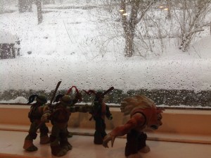 Ninja fighting skills: foundation for friendships