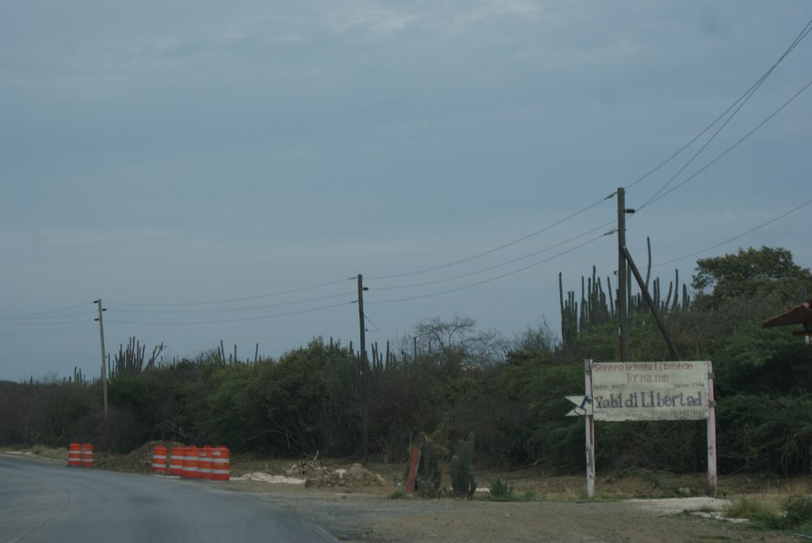 curacao roadtrip