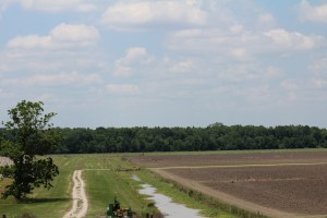 Louisiana_May 18 2014_new orleans to lake charles 542