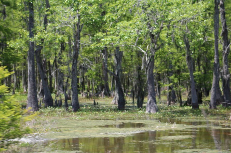 Louisiana_May 18 2014_new orleans to lake charles 573