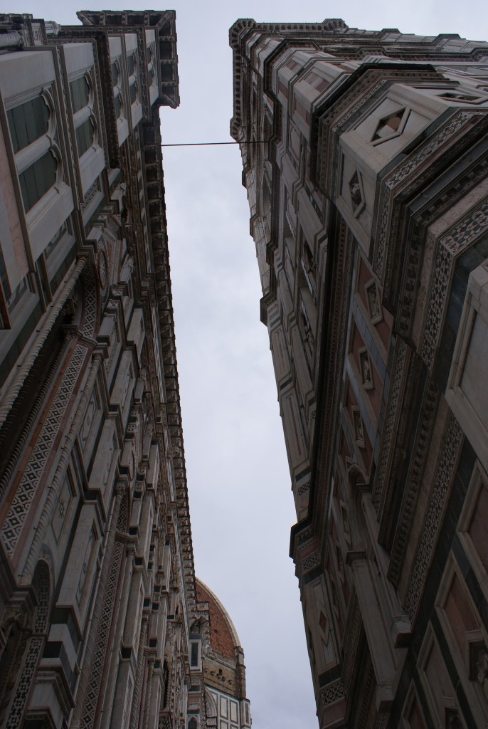 Staring up at the Florence Sky