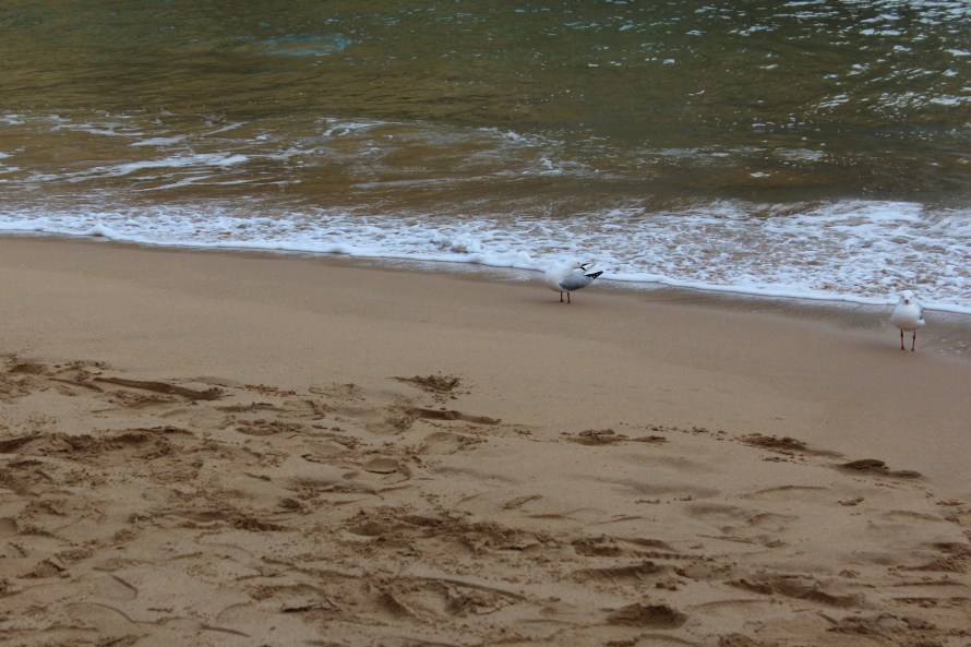 Together we left our footprints behind on the Ocean Road 