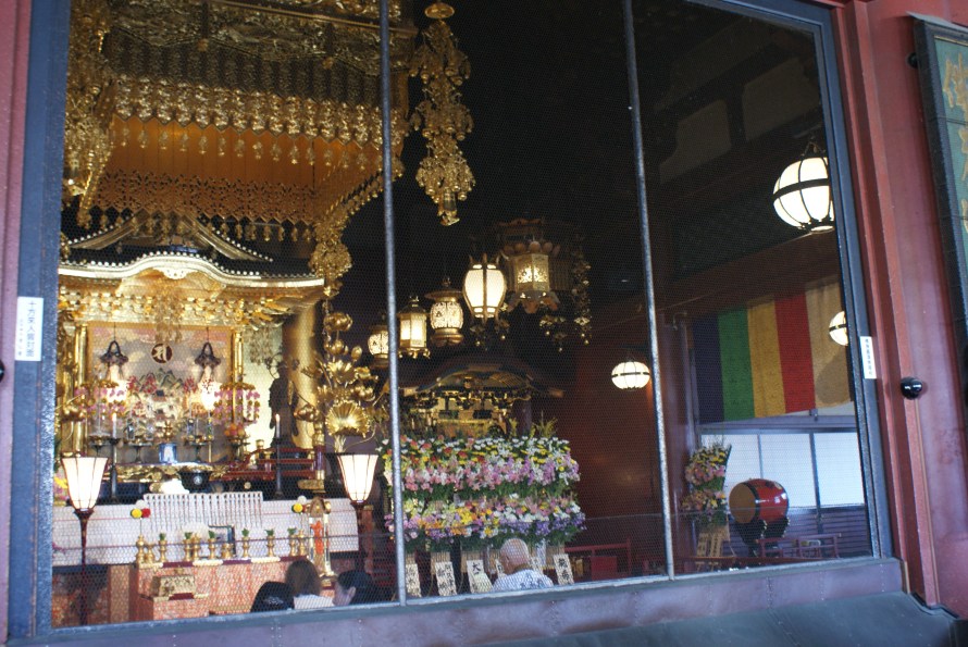 SONY DSC