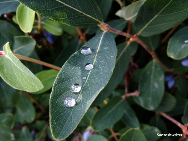 Photo © Santoshwriter