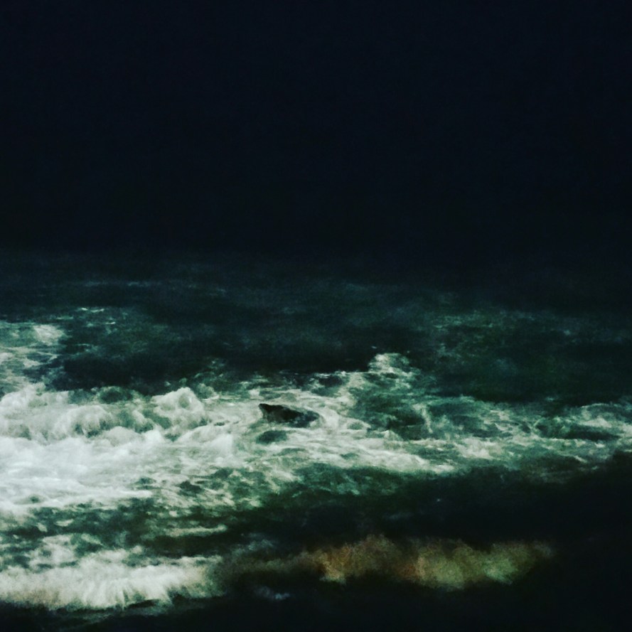 IMG_20151030_230049.jpg image