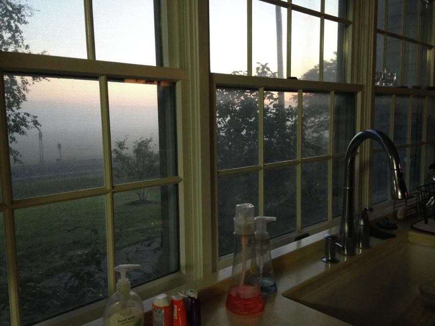 FF_Rochelle Wisoff-Fields_kitchen-window