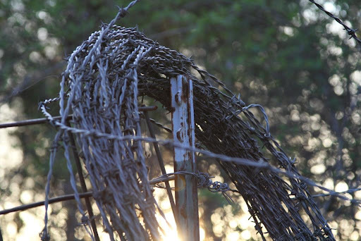 FF_barbed2bwire2bprompt1