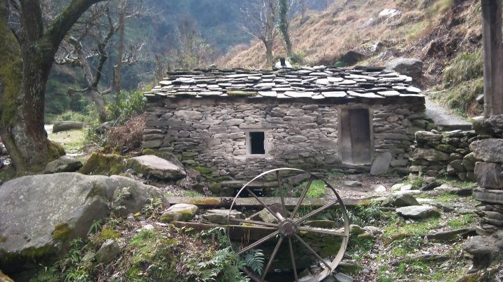 FF_photo-by-piya-singh-bittercharm-6