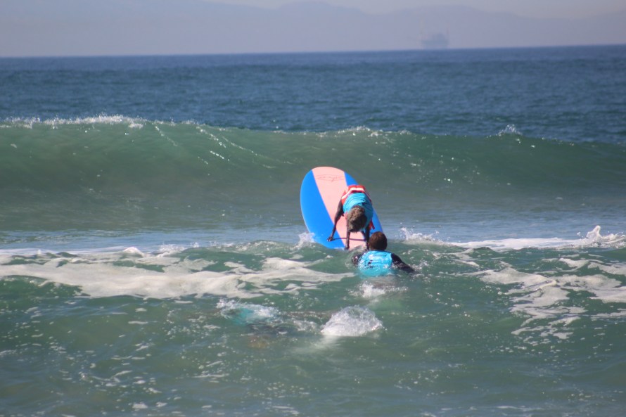 huntington-beach_dog-surf_sept-25-2016-287