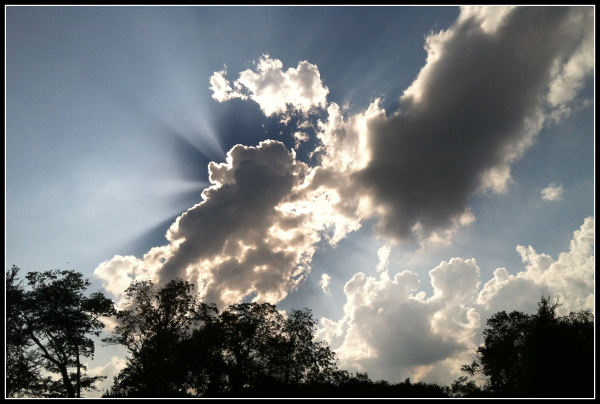 clouds-above-the-trees-rochelle-wisoff-fields