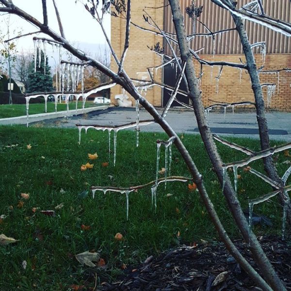 icicles-dale-rogerson